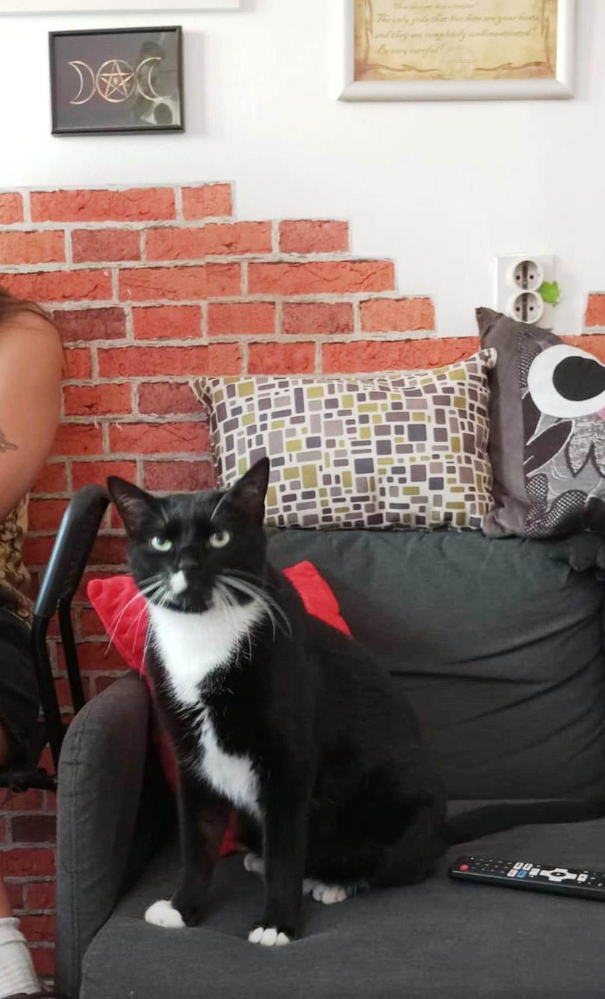 Hostel El Diablo Beograd Ngoại thất bức ảnh